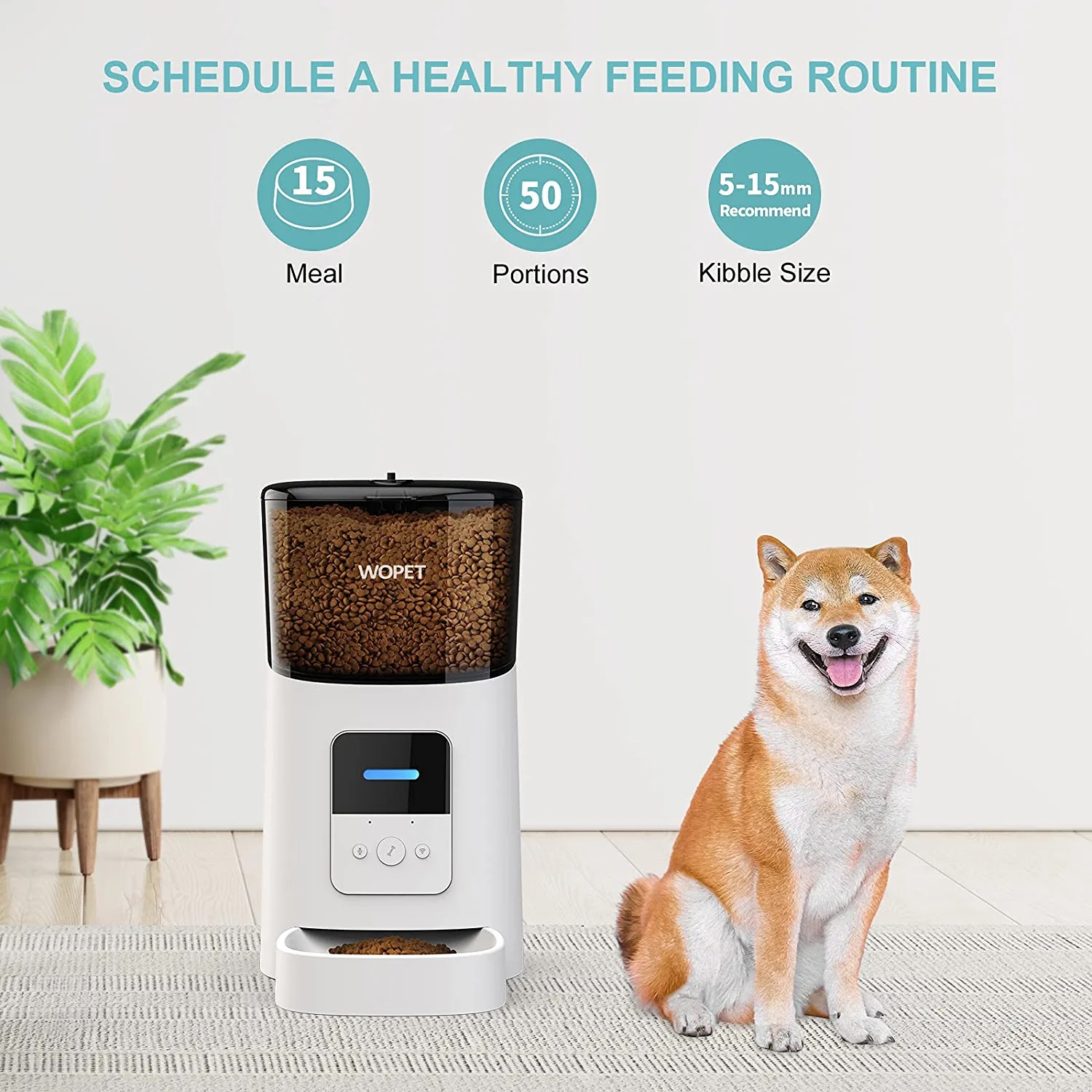 Wi-Fi Enabled Smart Dog Feeder